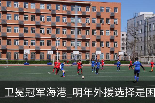 卫冕冠军海港 明年外援选择是困难题 安佩姆近7场7球 梅伦多场场首发