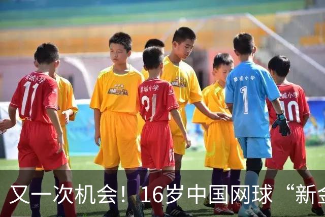 又一次机会！16岁中国网球“新金花”拿到外卡，出战广网女单比赛