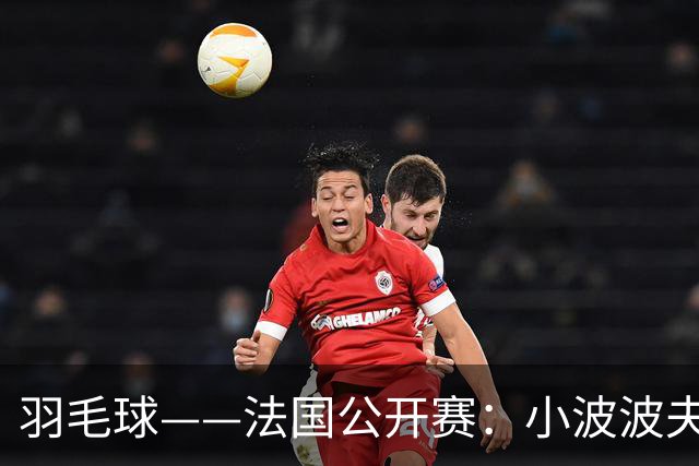 羽毛球——法国公开赛：小波波夫男单夺冠