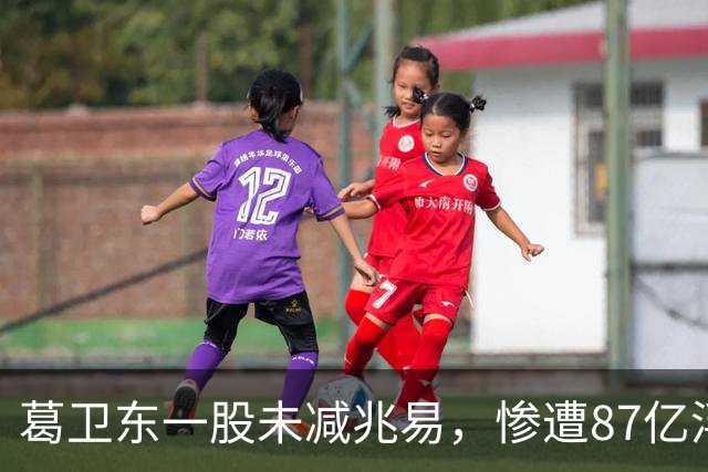 葛卫东一股未减兆易，惨遭87亿浮盈回撤！大佬的胜利果实也不好守啊