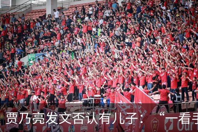 贾乃亮发文否认有儿子：“一看手机，凭空出来个儿子，就这一个，搁着呢 ​​​”​