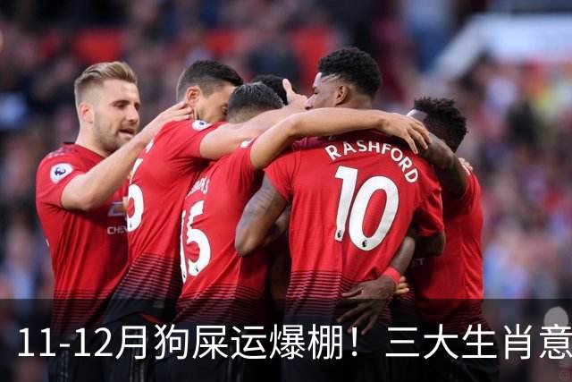 11-12月狗屎运爆棚！三大生肖意外惊喜一波接一波，稳稳走上坡路